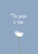 Pens&eacute;es r&eacute;confortantes et fleurs blanches